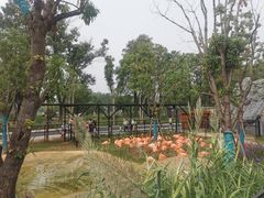 -武汉动物园