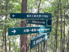 -南山植物园