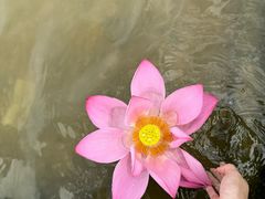-东湖生态旅游风景区