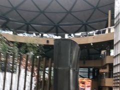-上海滴水湖皇冠假日酒店