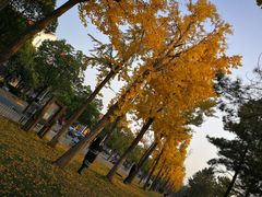 -美兰湖景区