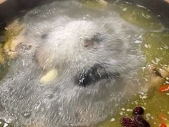 -佳缘野生菌食府