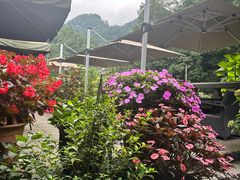 -华冠悠岚·庭院餐厅(青城后山店)