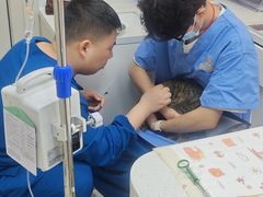 -御宝贝24h宠物医院·转诊中心·CT核磁血透中心(厦门总院)