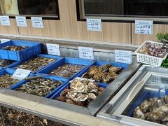 -渡海小渔村.老辈日照菜