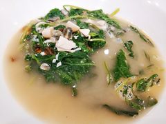 上汤小青菜-勺园中餐厅