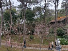 -狐尾山公园