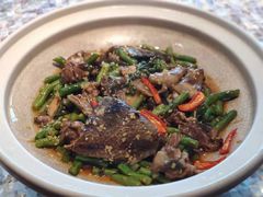姜汁甲鱼-临江宴(陆家嘴店)