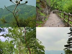 -洛阳白云山景区