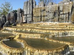 -武清南湖绿博园