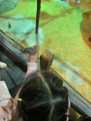 -酷嗒动物文化乐园(cutezoo西溪乐天城店)