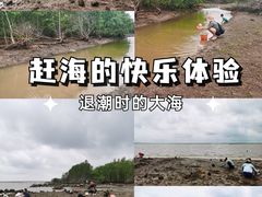 -东寨港红树林旅游区