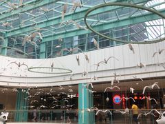 -大族广场Mall&More