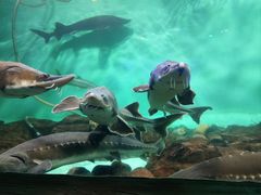 -太平洋海底世界