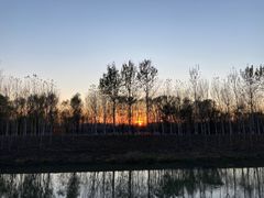 -东郊湿地公园