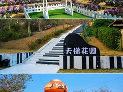 -盈香心动乐园