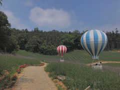 -大塘金香草谷