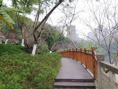 -重庆彩云湖湿地公园