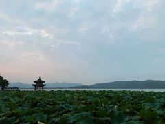 -西湖游船