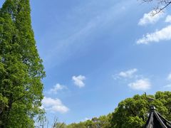 -上海醉白池公园