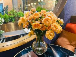 -花隐·美芙炫海菲秀皮肤管理中心