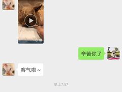 -美联众合动物医院(·中兽医·疑难杂症·严家桥分院)