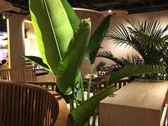 -大头椰·椰子鸡火锅(南宁万象城店)