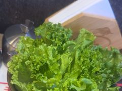 -杨记齐齐哈尔烤肉(总店)