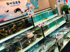 -盒马鲜生(顺义店)