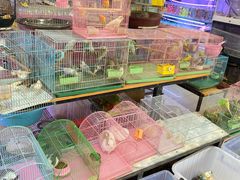 -三圣花乡旅游区