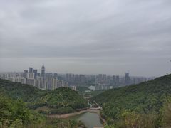 -桃花岭景区