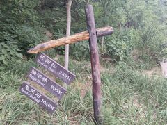 -北京西山国家森林公园