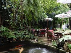 -Fern Forest Cafe