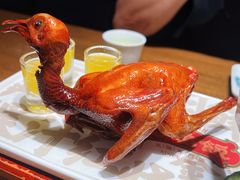 -大鸽饭(动物园店)