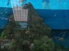-望儿山温泉水乐园
