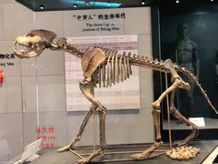 -北京周口店北京人遗址博物馆