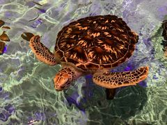 -波塞冬旅游度假区