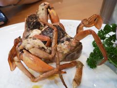 -友强·23年特色海鲜大排档(厦门店)
