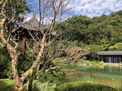 -云溪植物园