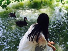 钓鱼台国宾馆-钓鱼台国宾馆