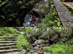 -莫干山风景区
