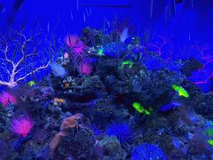 -成都浩海立方海洋公园