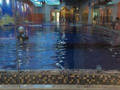 -ABC Swim亲子游泳俱乐部(河西店)