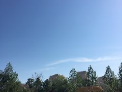 -星光岛