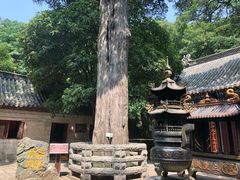 -青岛崂山太清宫