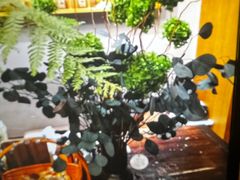 -泰·菩提树下[泰式按摩x精油SPAx肩颈头疗](新景店)