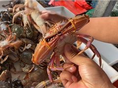 -何庄子阿米玛玛农产品批发市场