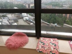 -E.L.K造型momopark店