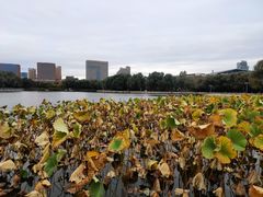 -长春世界雕塑园冰雪艺术天地