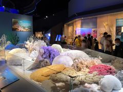 -贝林大翅鲸简餐厅(国家海洋博物馆店)